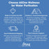 WPS KIT Water Purification Sodium Chlorite 25% HCL 4% Glass 118ml - AllOne Wellness CA$38.97